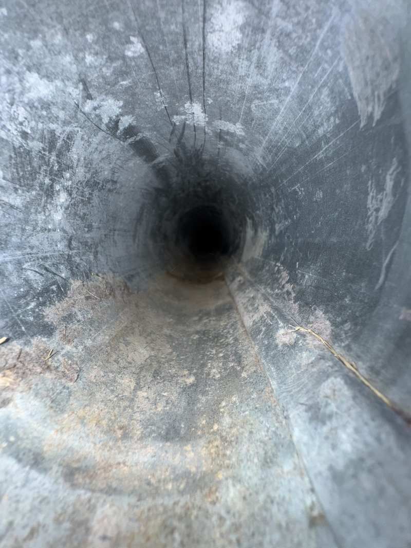 Clean chimney flue after nest removal